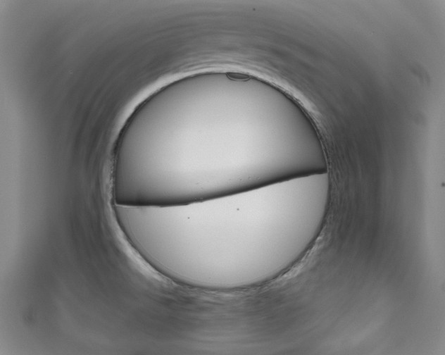 X0000111791526200907230938