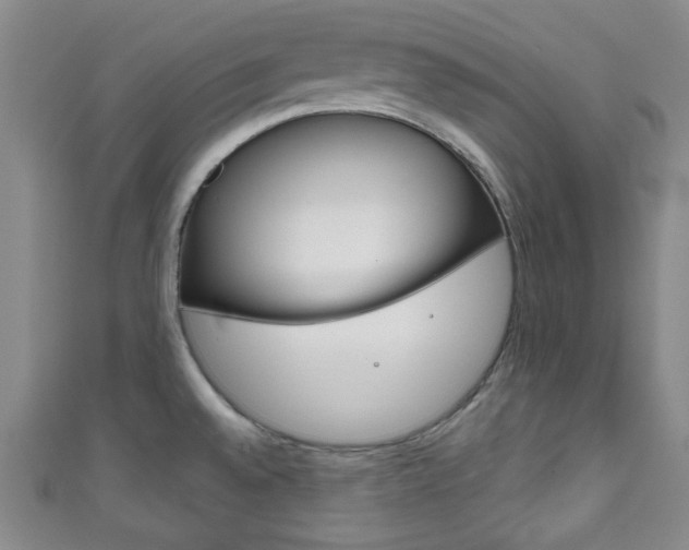 X0000111791528200907230938