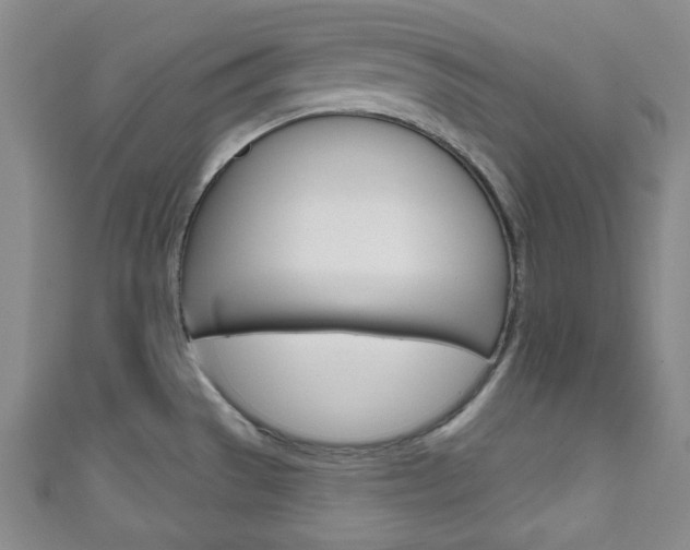 X0000111791529200907230938