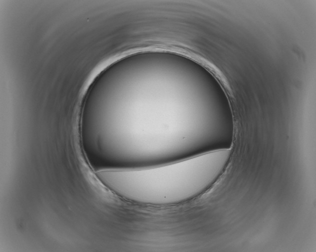 X0000111791530200907230938