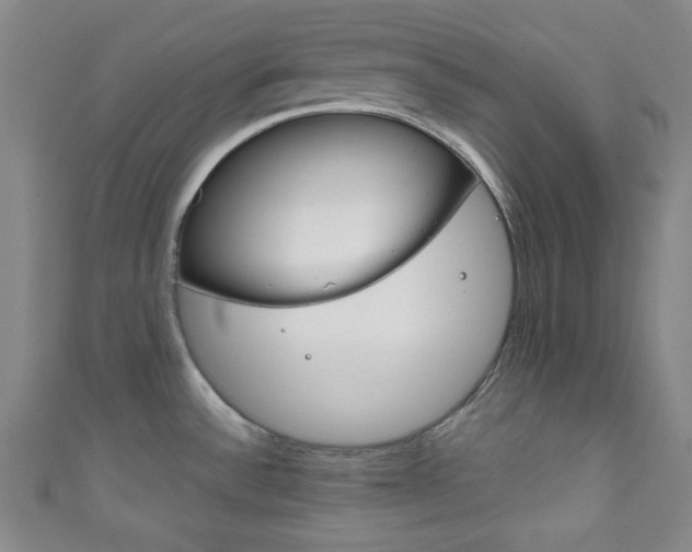 X0000111791532200907230938