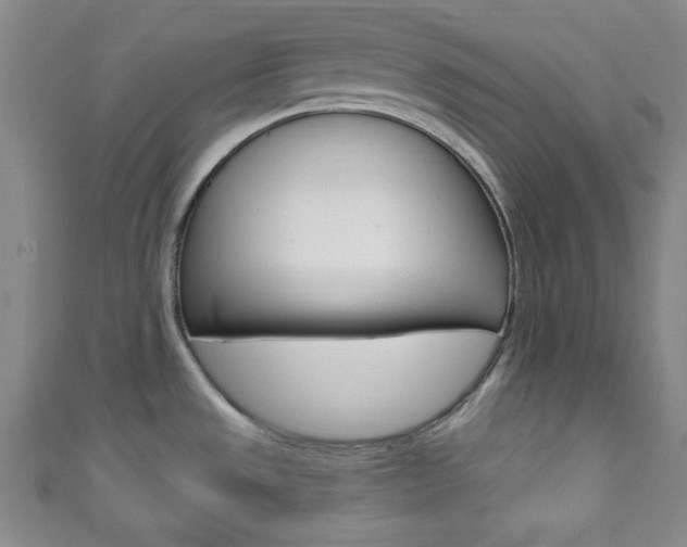 X0000111791533200907230938