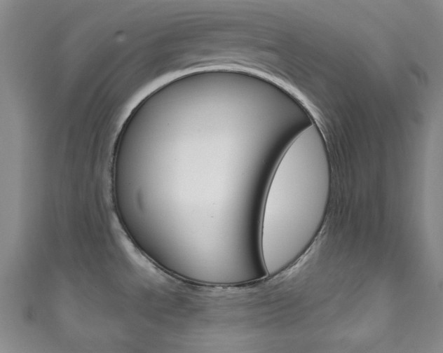 X0000111791534200907230938