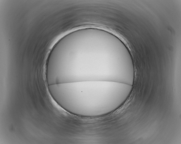 X0000111791535200907230938