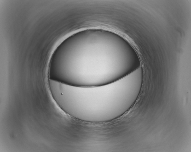 X0000111791536200907230938