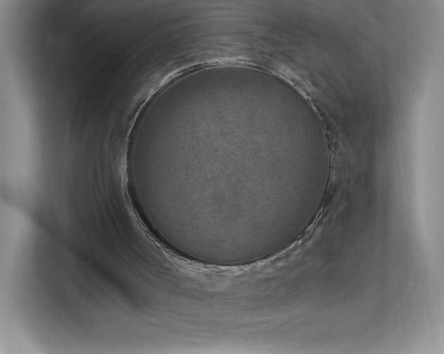 X0000111790002200907231152