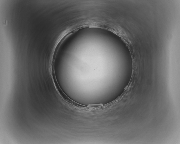 X0000111790003200907231152