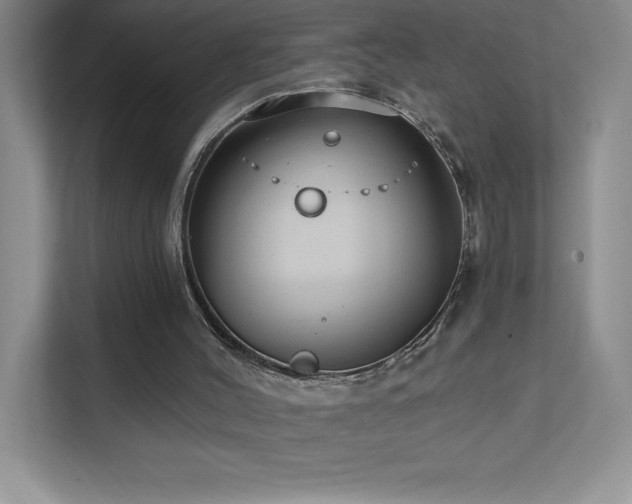 X0000111790004200907231152