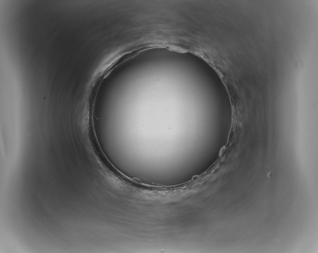 X0000111790005200907231152