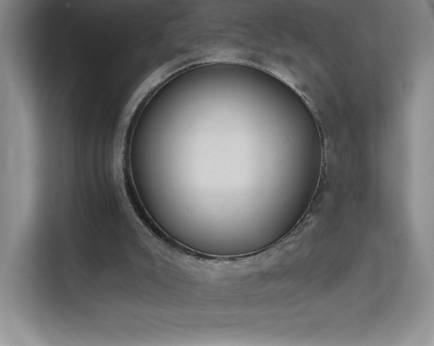 X0000111790007200907231152