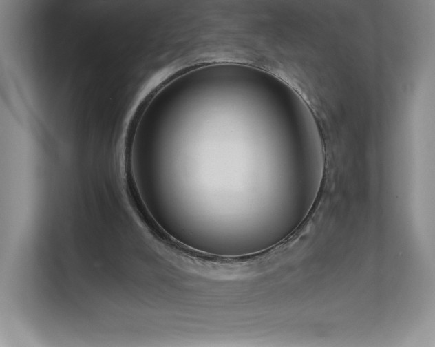 X0000111790008200907231152