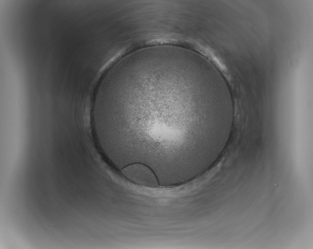 X0000111790010200907231152