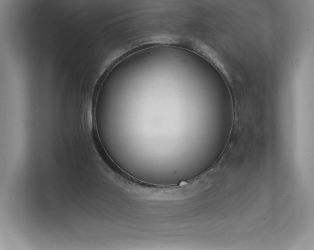 X0000111790011200907231152