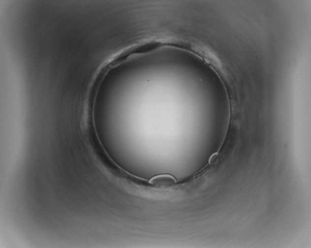 X0000111790012200907231152