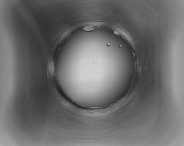 X0000111790013200907231152