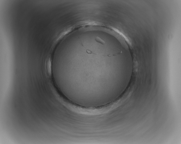 X0000111790014200907231152