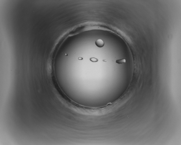 X0000111790015200907231152