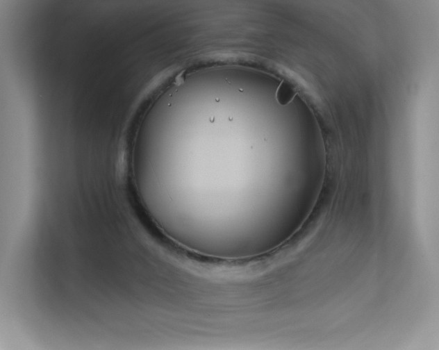 X0000111790016200907231152