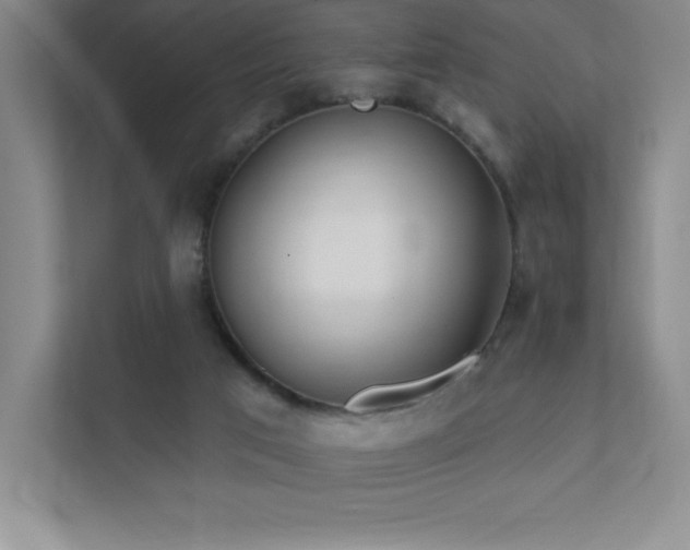 X0000111790017200907231152