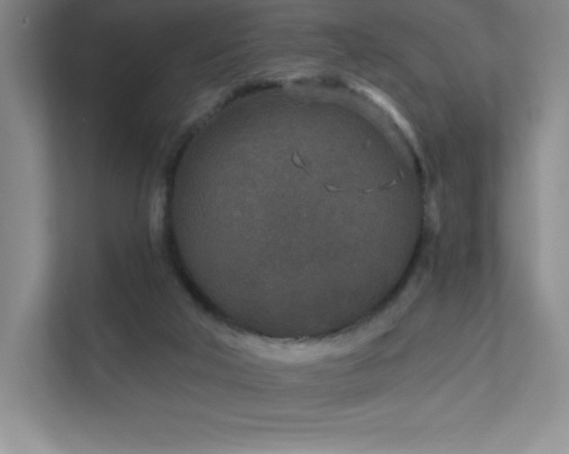 X0000111790018200907231152