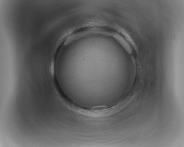 X0000111790019200907231152