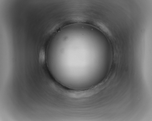 X0000111790021200907231152