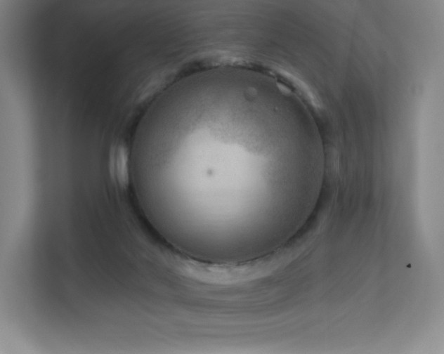 X0000111790022200907231152