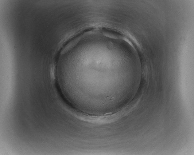 X0000111790023200907231152