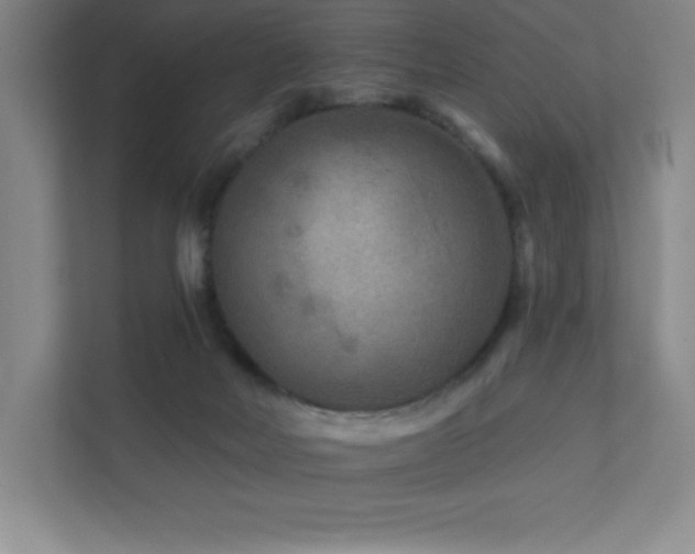 X0000111790026200907231152