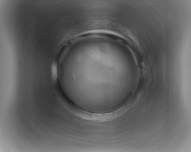 X0000111790027200907231152