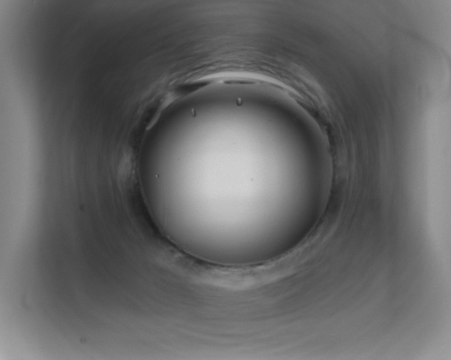 X0000111790029200907231152