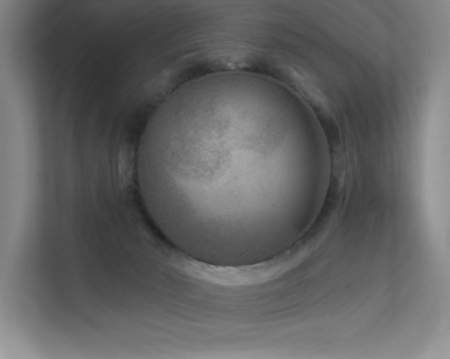 X0000111790030200907231152