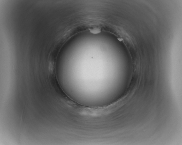 X0000111790033200907231152