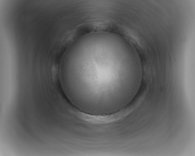 X0000111790034200907231152