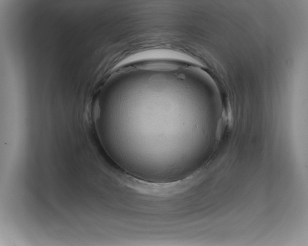 X0000111790035200907231152