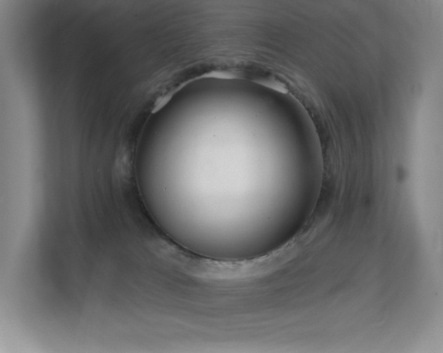 X0000111790037200907231152