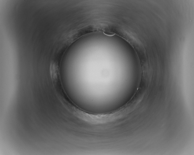 X0000111790038200907231152