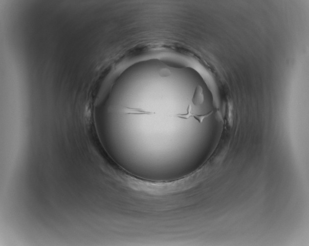 X0000111790039200907231152