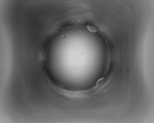 X0000111790040200907231152