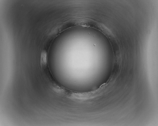 X0000111790041200907231152