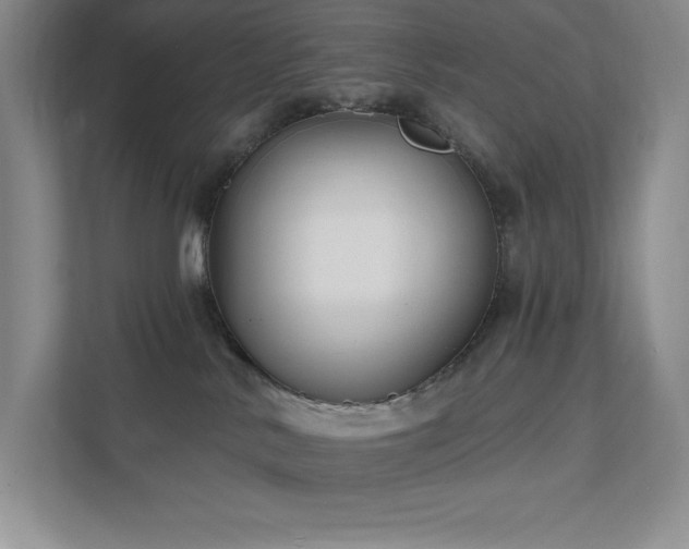 X0000111790042200907231152