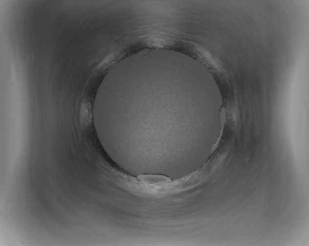 X0000111790043200907231152