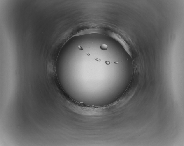 X0000111790044200907231152