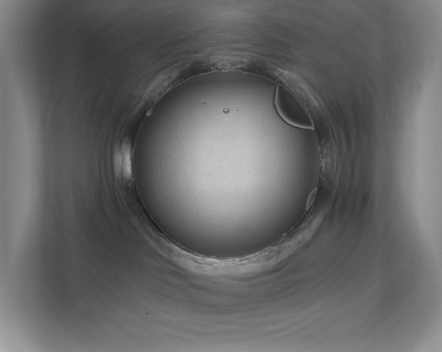 X0000111790046200907231152