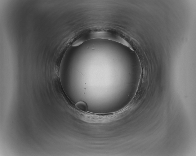 X0000111790048200907231152