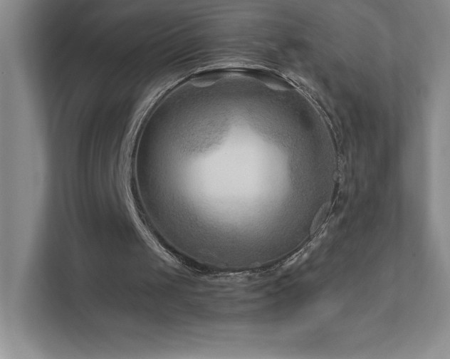 X0000111790049200907231151