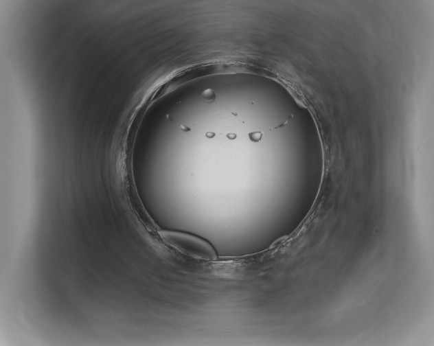 X0000111790050200907231151