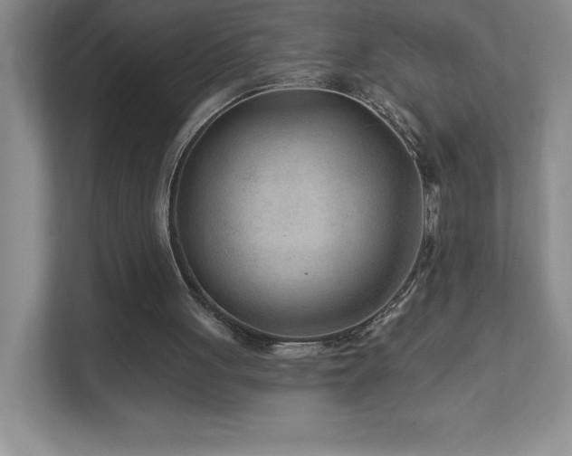 X0000111790051200907231151