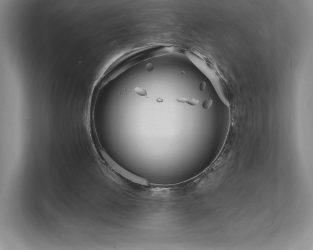 X0000111790052200907231151