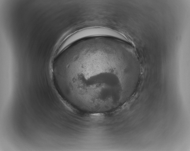 X0000111790053200907231151